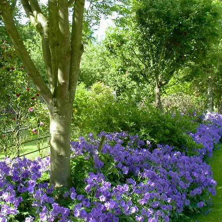 Vakantiehuis The Mews Ellington (North Yorkshire)